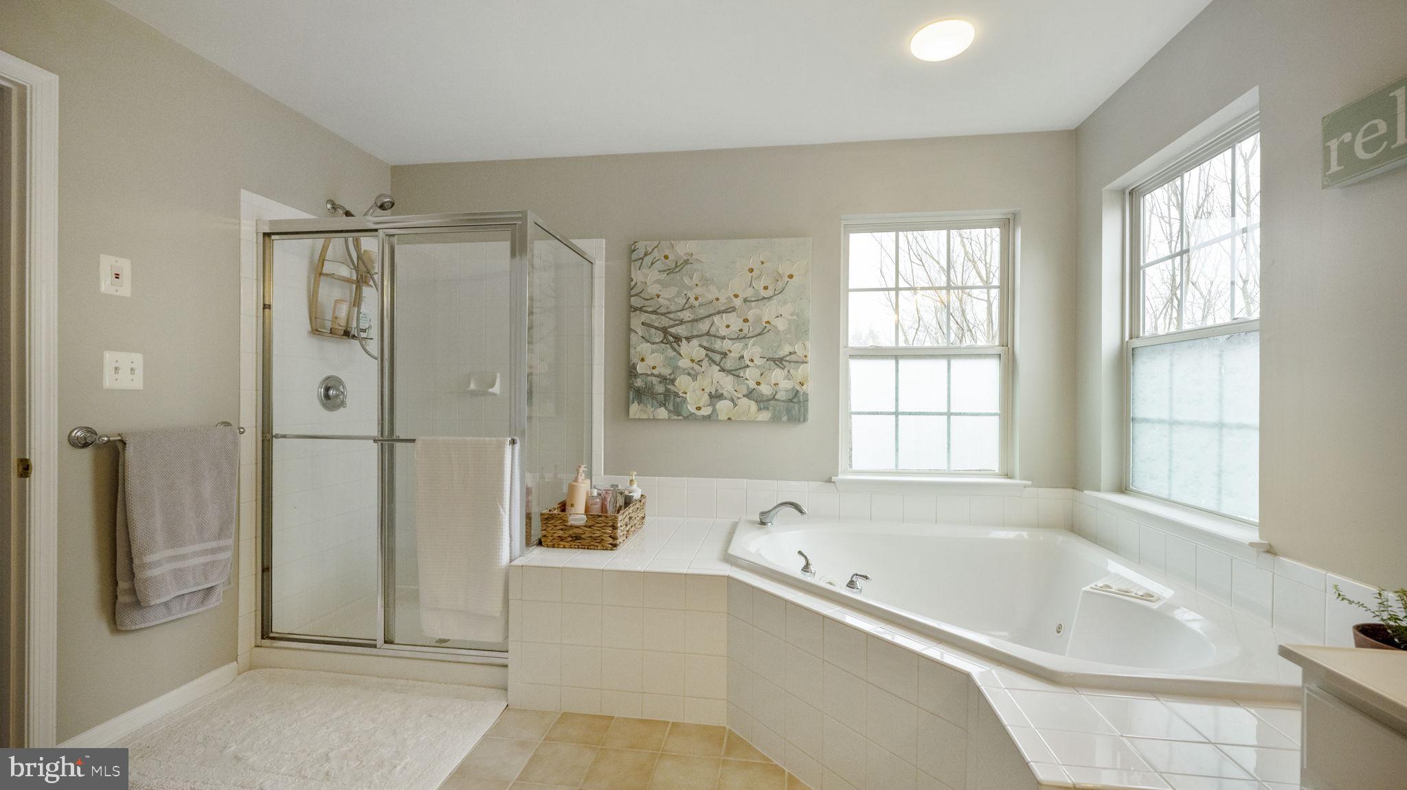 14206 Brass Wheel Road Boyds, MD 20841 - Photo 22 of 34 Pamper yourself in the jetted tub