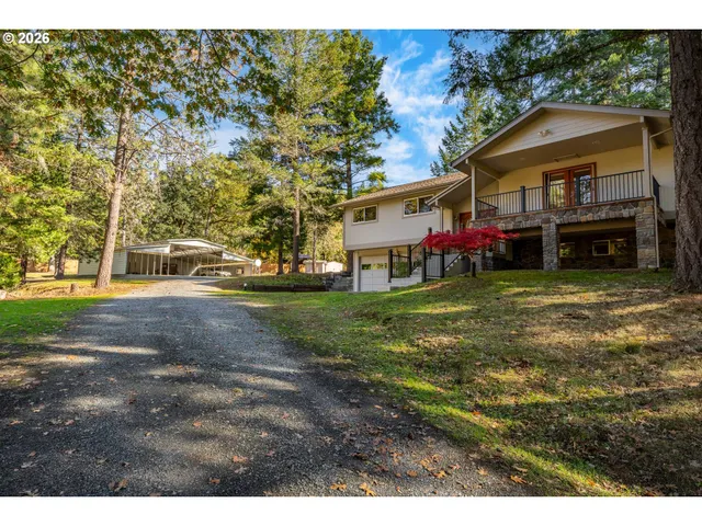 a view of a yard with a tree
