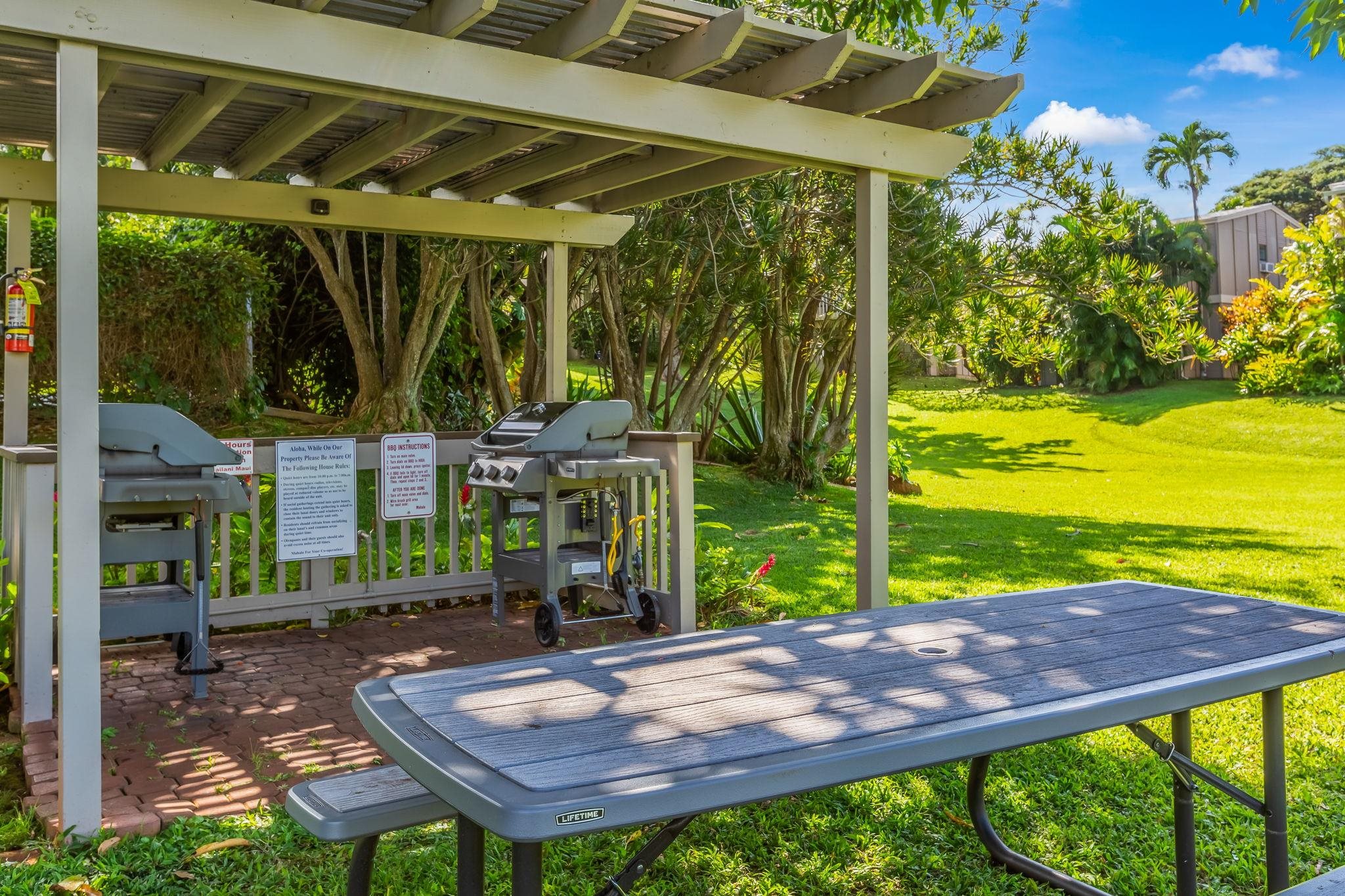 4435 Lower Honoapiilani Road, Unit 116 Lahaina, HI 96761 - Photo 41 of 42 Gallery Image 41