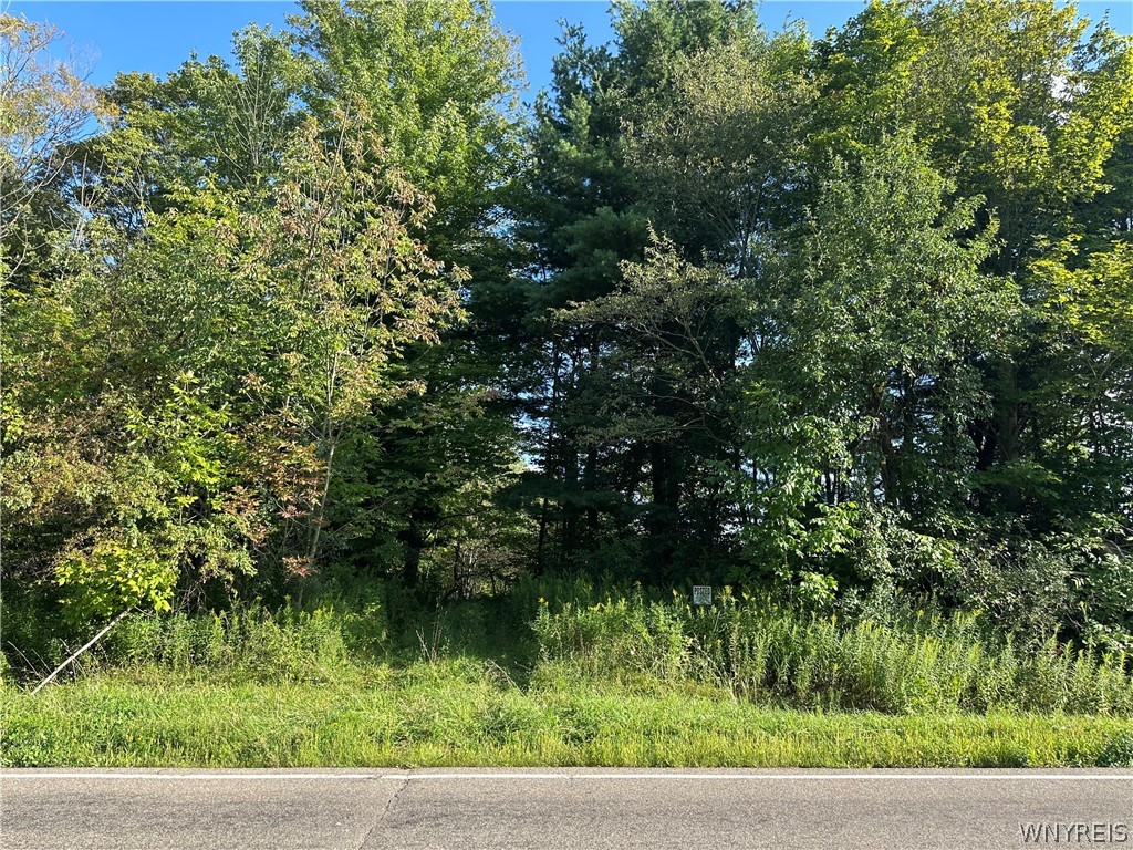 V/l Genesee Road Lawtons, NY 14091 - Photo 10 of 19 Gallery Image 10