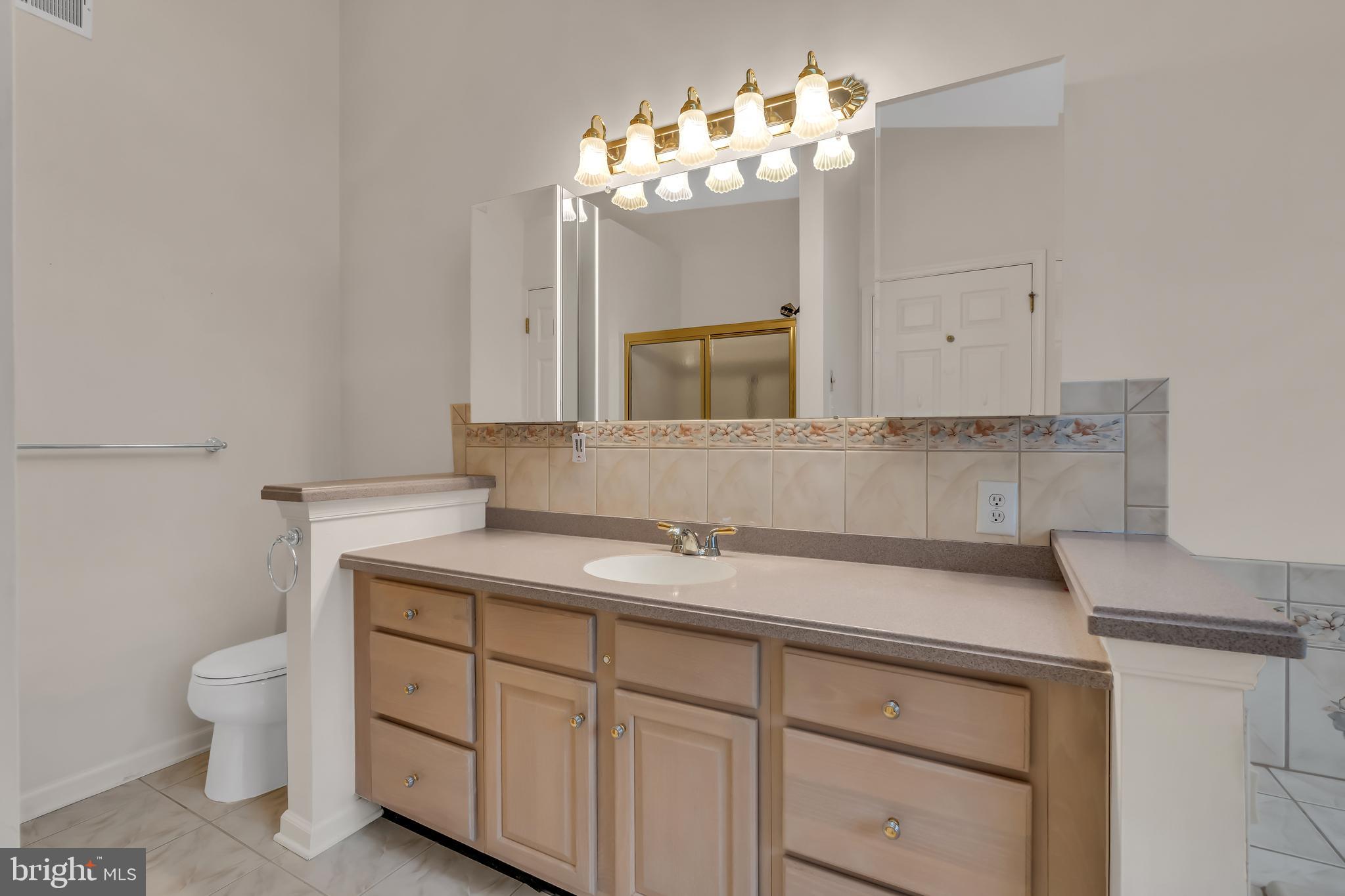 3 Rye Court Jackson, NJ 08527 - Photo 28 of 35 Main bathroom