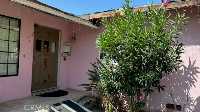 a couple of potted plants in front of door