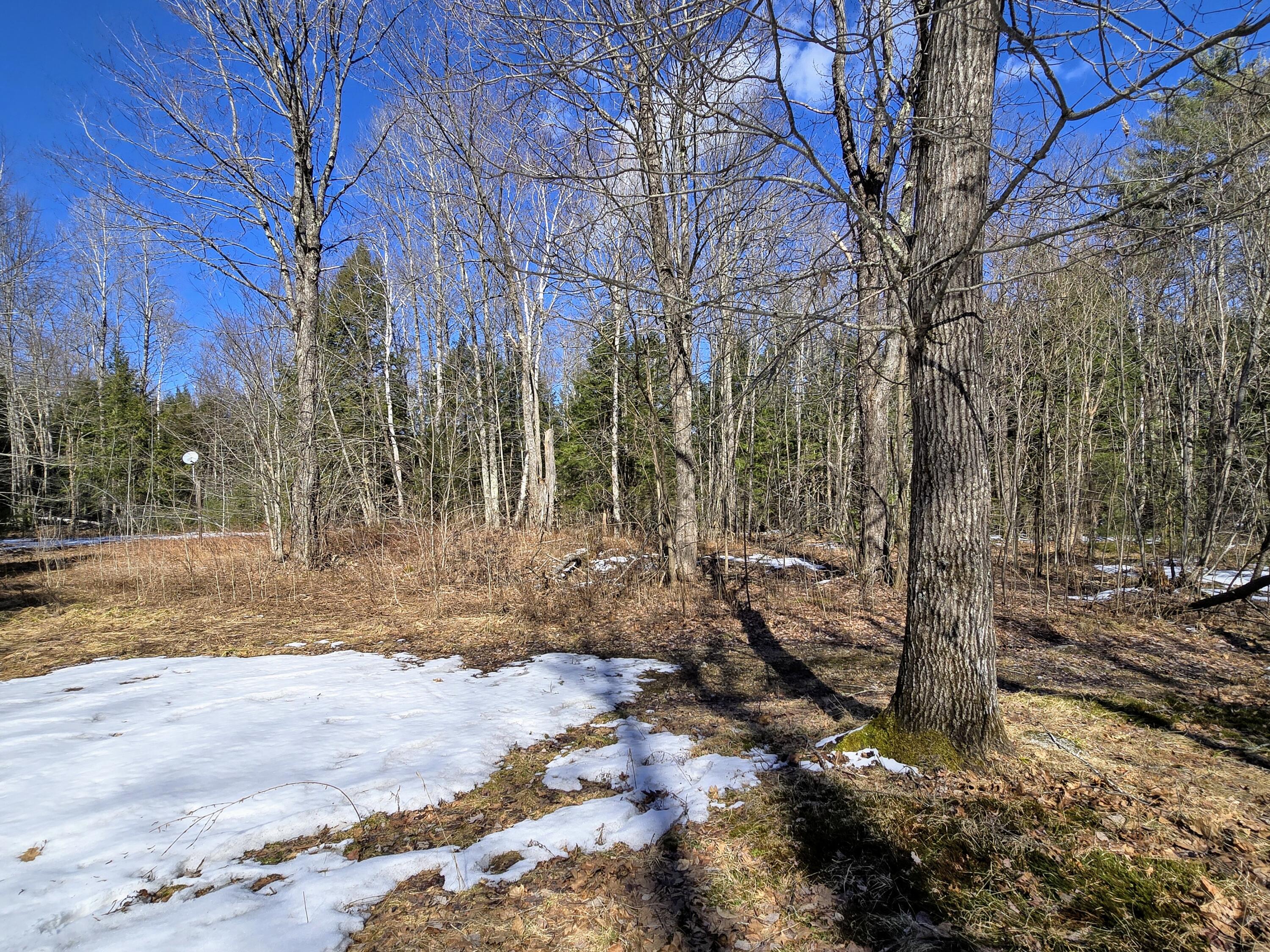 105 South Chatham Road Fryeburg, ME 04037 - Photo 5 of 13 1000004105