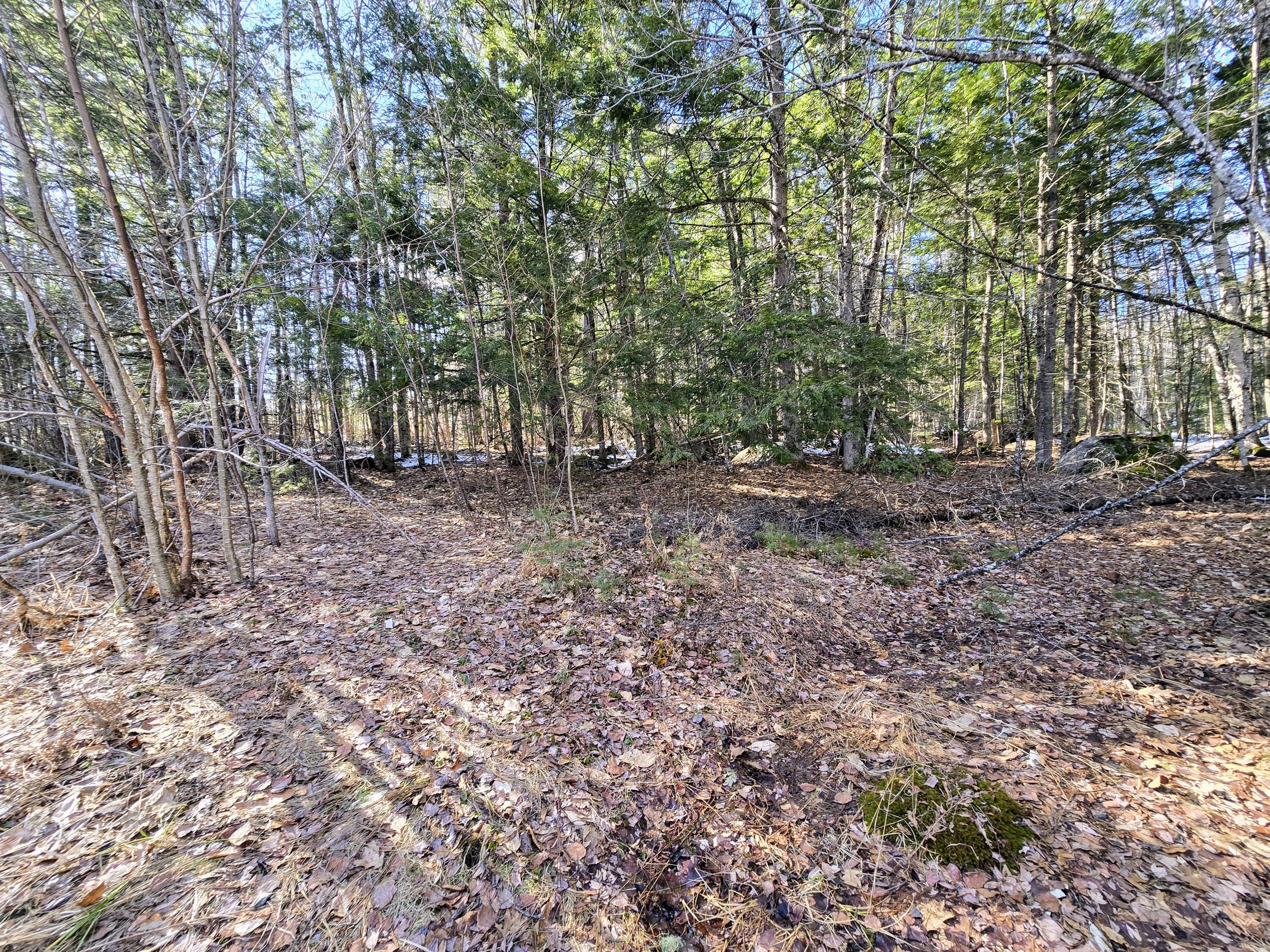 105 South Chatham Road Fryeburg, ME 04037 - Photo 6 of 13 1000004106