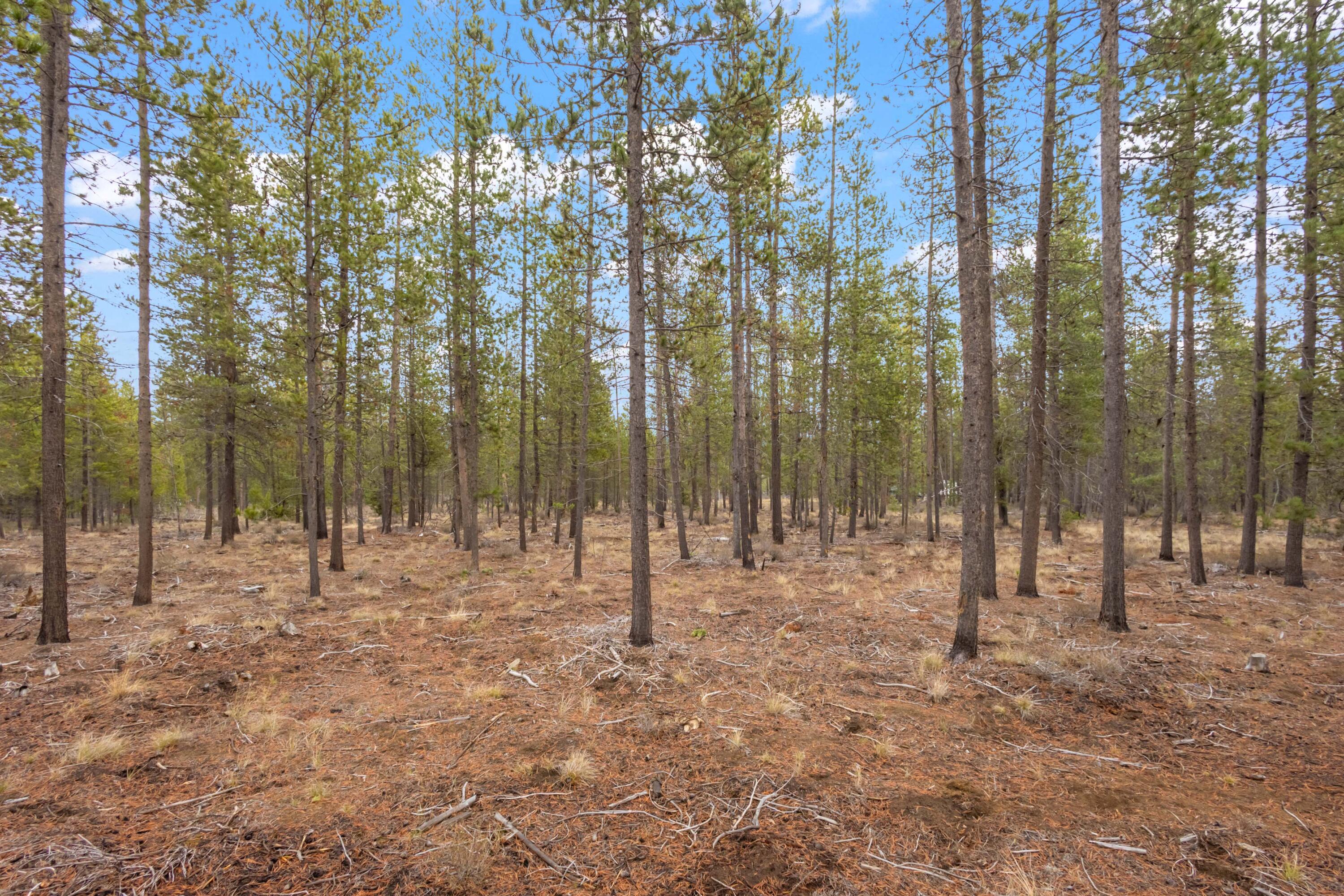 53080 Day Road La Pine, OR 97739 - Photo 34 of 44 b425daa1_30