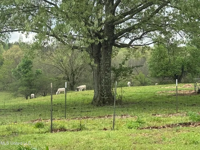 $724,900 | 1201 Wheeler Road, Hernando, MS 38632