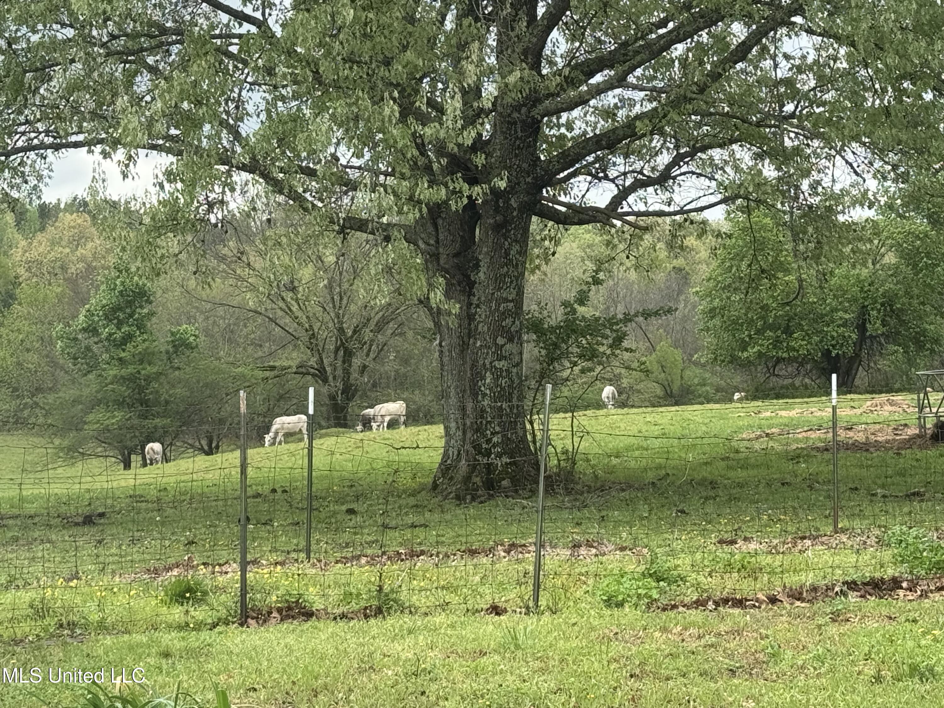 1201 Wheeler Road Hernando, MS 38632 - Photo 40 of 64 IMG_2193