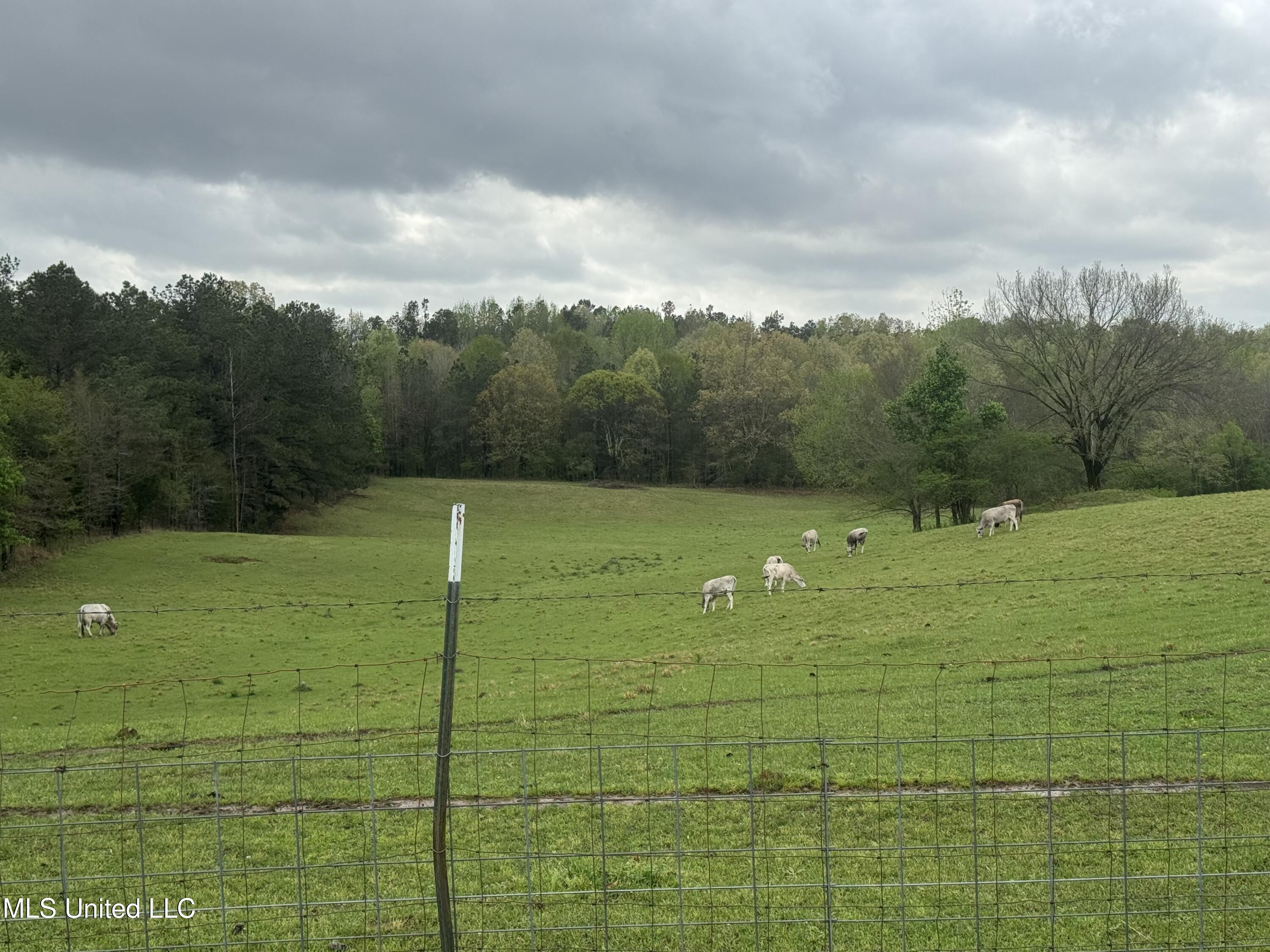 1201 Wheeler Road Hernando, MS 38632 - Photo 46 of 64 IMG_2201