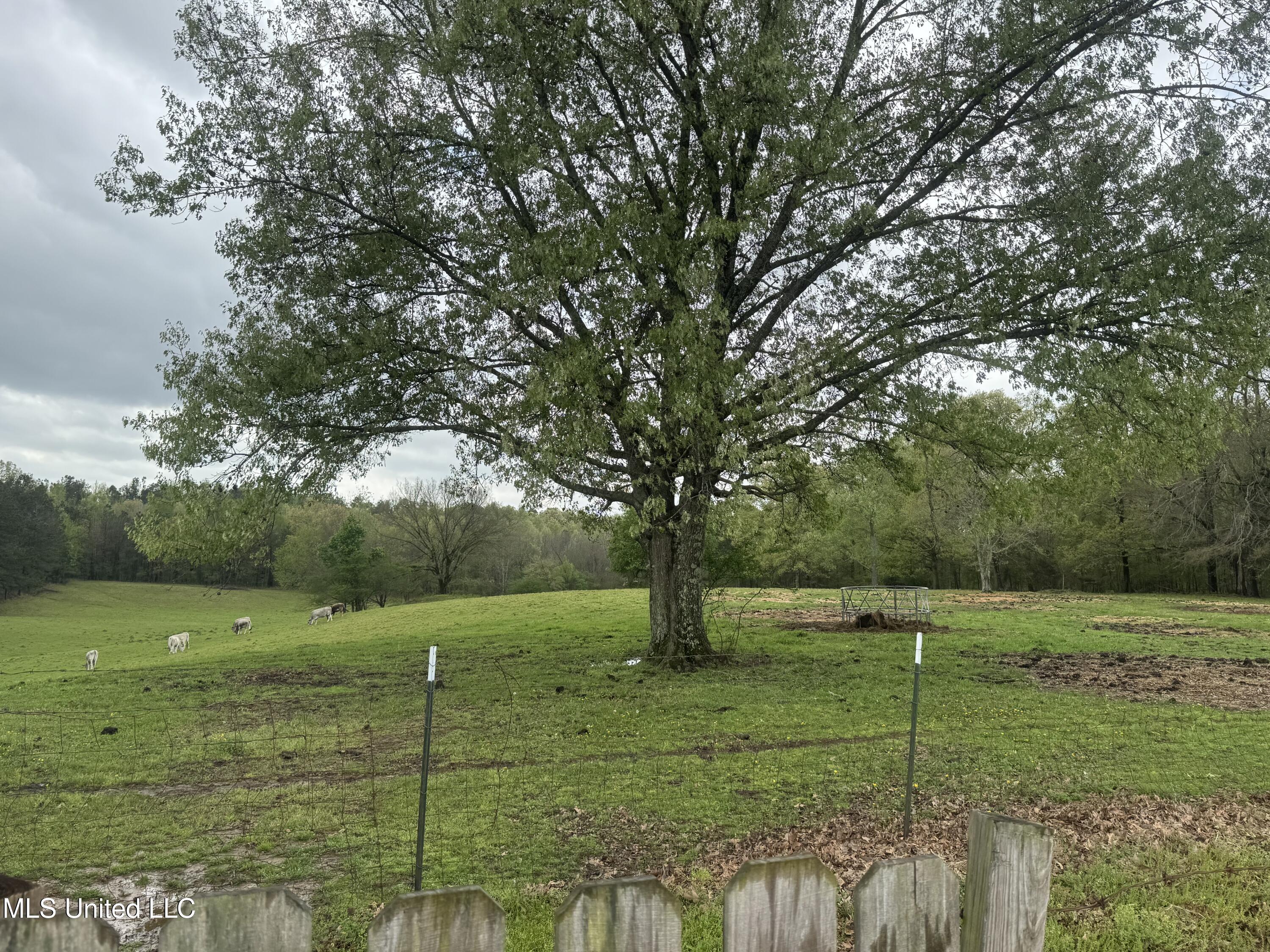 1201 Wheeler Road Hernando, MS 38632 - Photo 47 of 64 IMG_2203