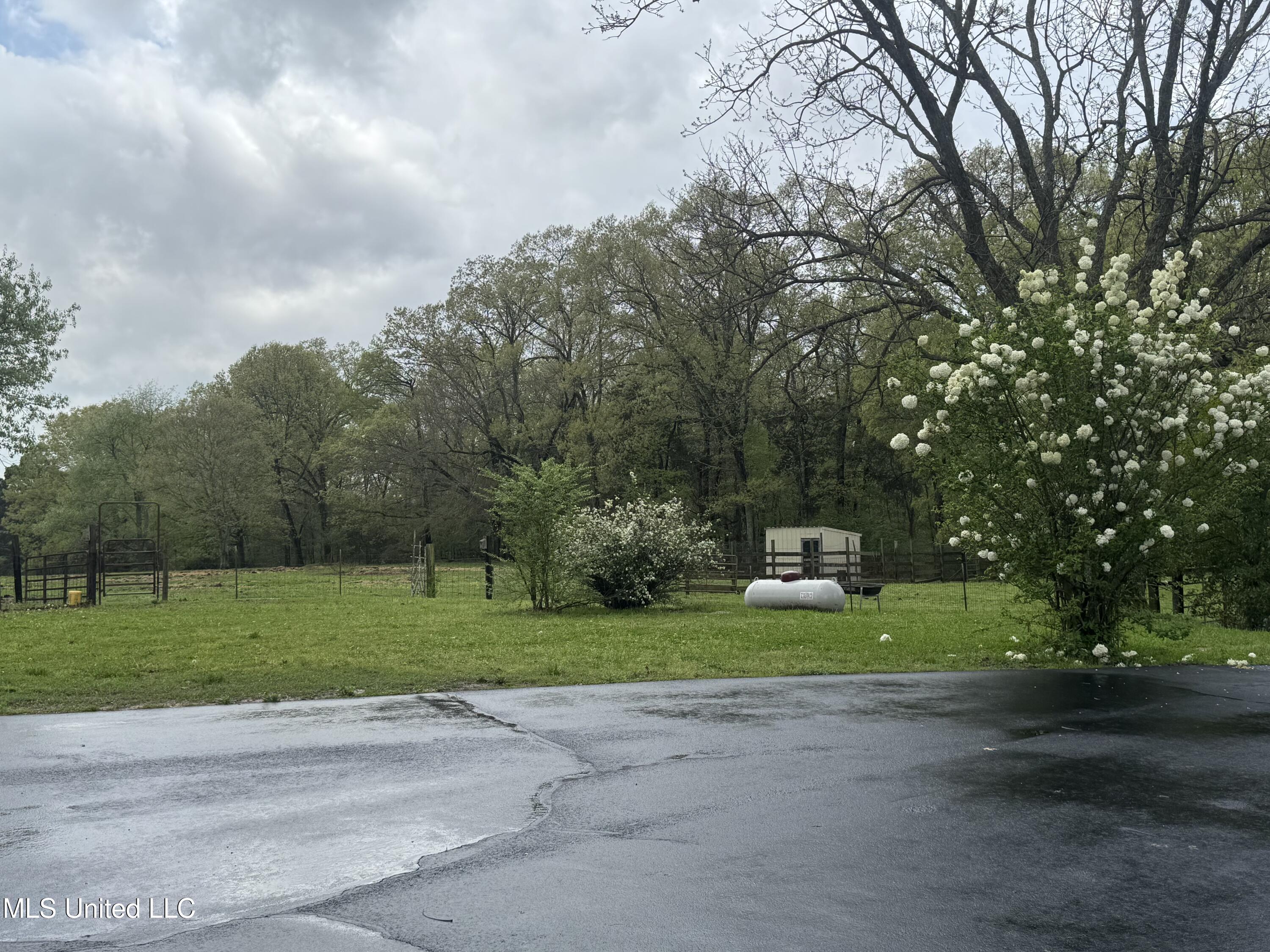 1201 Wheeler Road Hernando, MS 38632 - Photo 51 of 64 IMG_2208