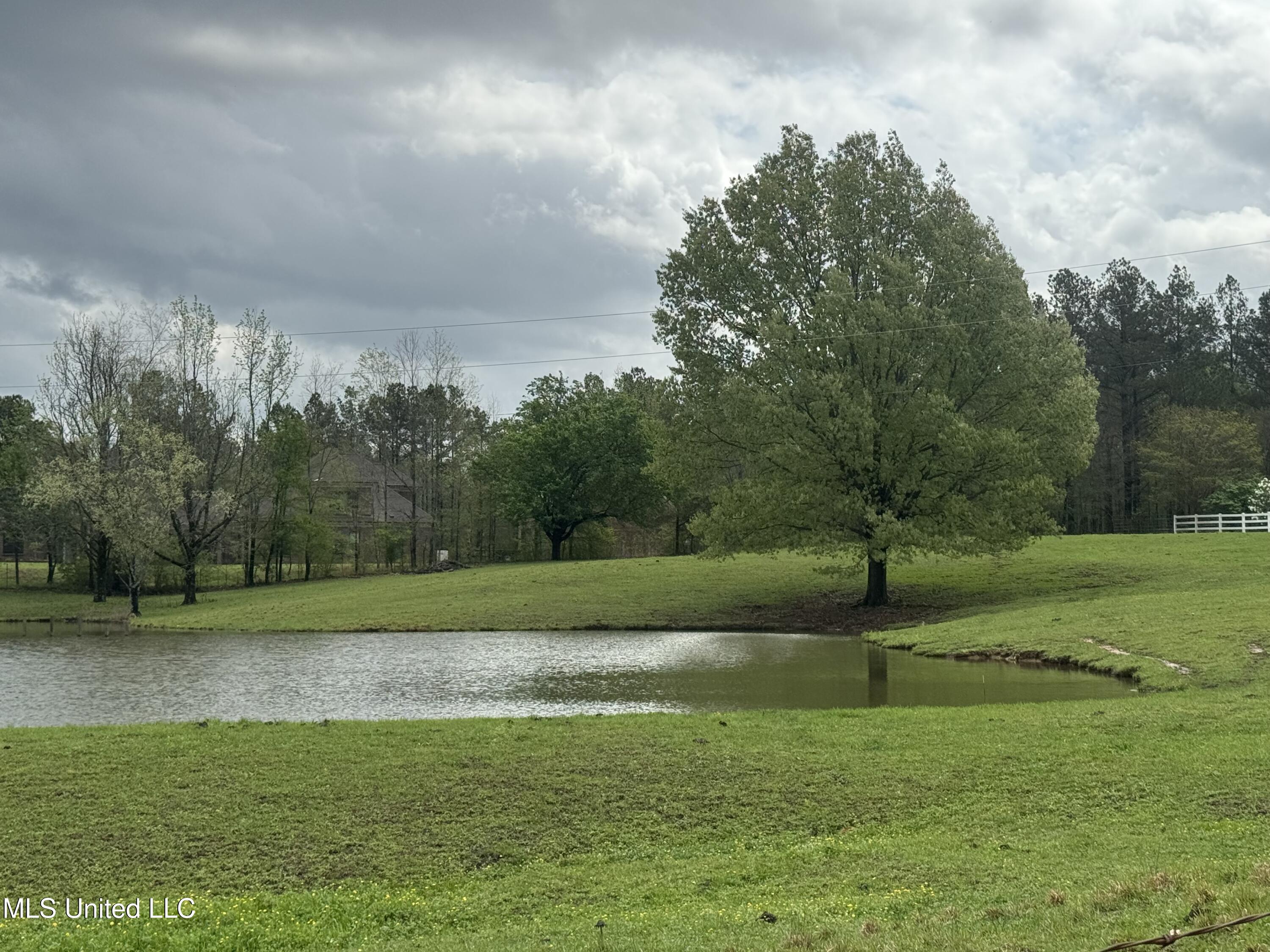 1201 Wheeler Road Hernando, MS 38632 - Photo 52 of 64 IMG_2225