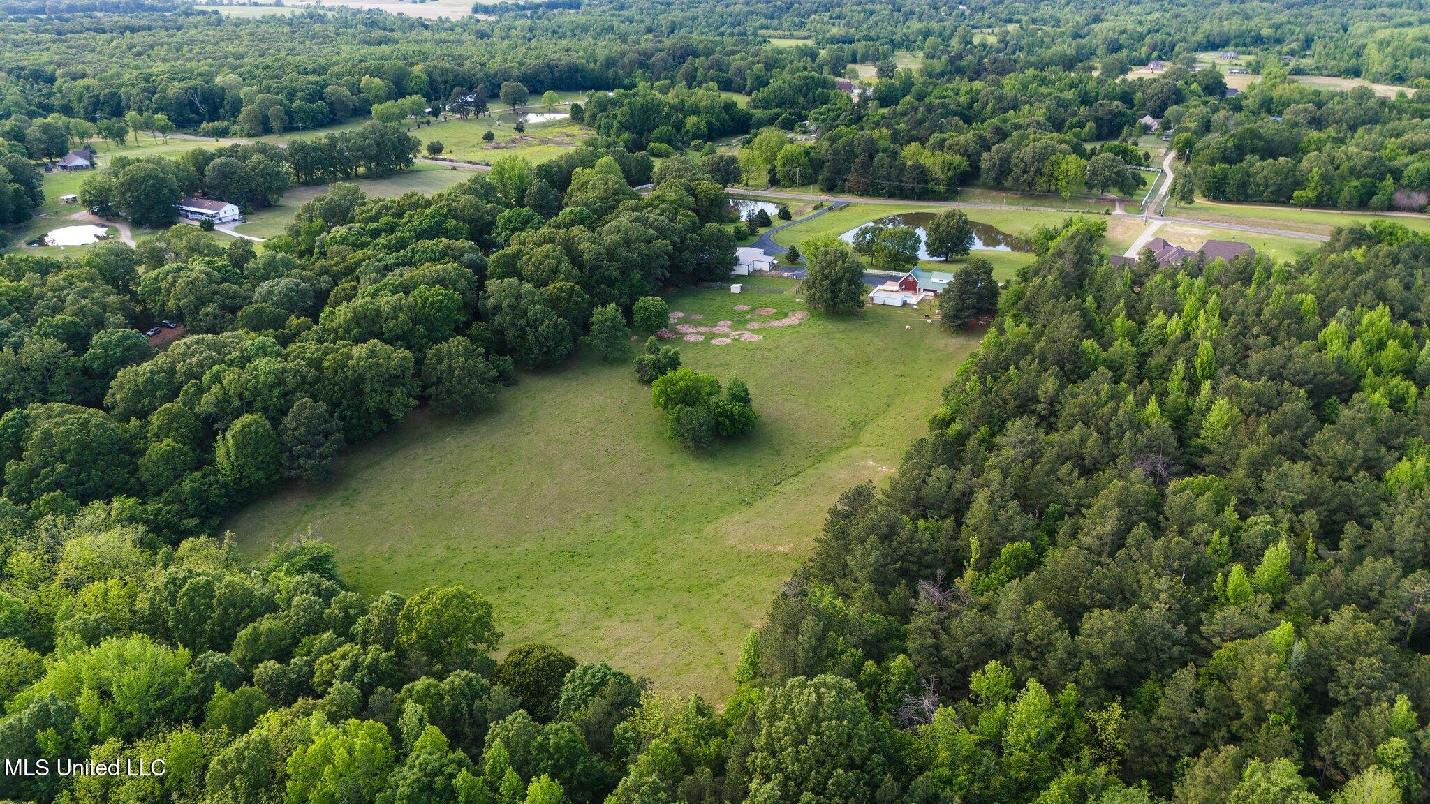 1201 Wheeler Road Hernando, MS 38632 - Photo 58 of 64 6-web-or-mls-1201 Wheeler Rd-06