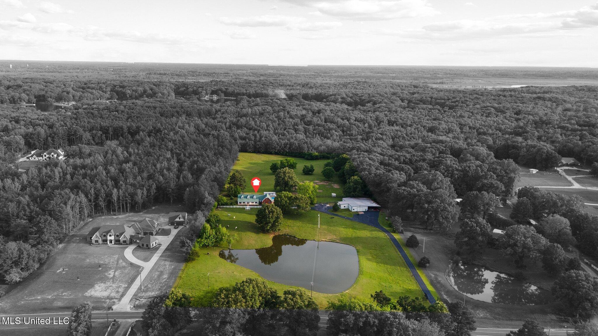 1201 Wheeler Road Hernando, MS 38632 - Photo 63 of 64 17-web-or-mls-Property Line - 1201 Wheel