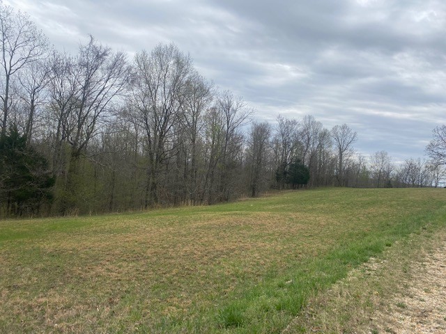 3217 Jack Saunders Road Waverly, TN 37185 - Photo 1 of 12 a view of a field