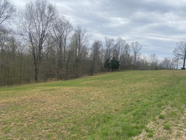 3217 Jack Saunders Road Waverly, TN 37185 - Photo 2 of 12 a view of a field with trees in the background