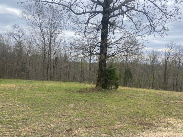 3217 Jack Saunders Road Waverly, TN 37185 - Photo 3 of 12 a view of outdoor space with trees