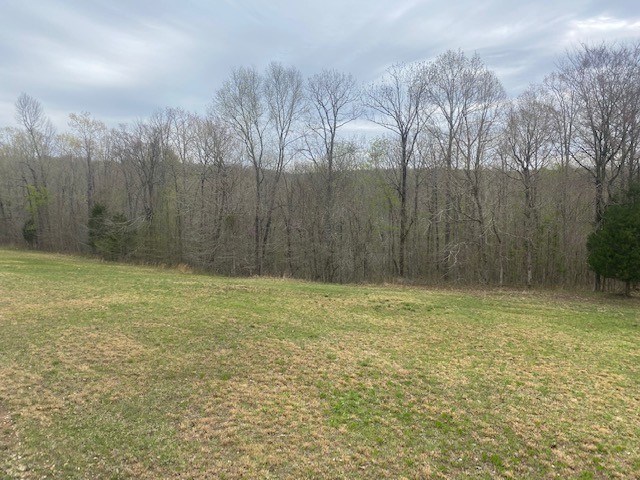 3217 Jack Saunders Road Waverly, TN 37185 - Photo 4 of 12 a view of a yard with trees