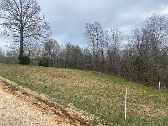 3217 Jack Saunders Road Waverly, TN 37185 - Photo 5 of 12 a view of a backyard