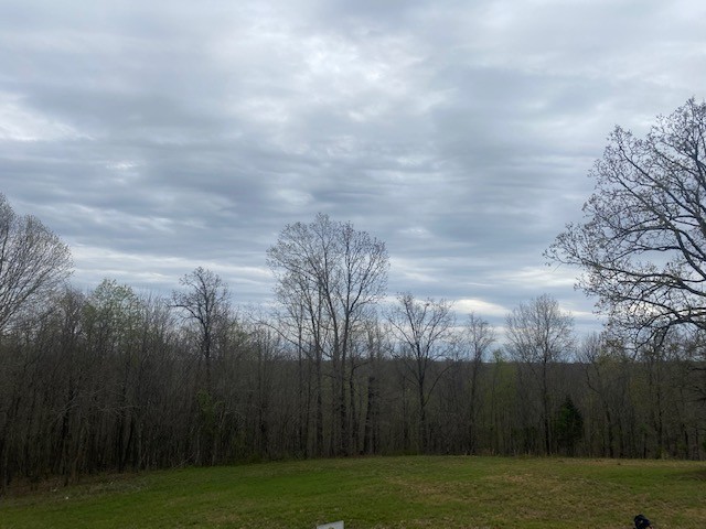 3217 Jack Saunders Road Waverly, TN 37185 - Photo 6 of 12 a view of a yard
