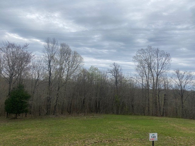 3217 Jack Saunders Road Waverly, TN 37185 - Photo 7 of 12 a view of outdoor space with deck and yard
