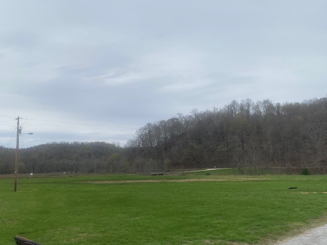 3217 Jack Saunders Road Waverly, TN 37185 - Photo 10 of 12 a view of a grassy field