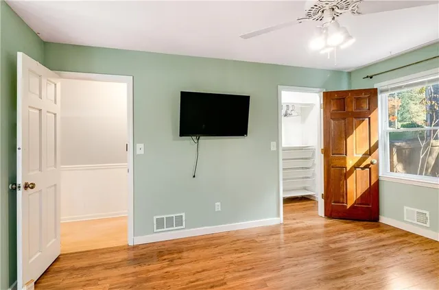 a view of a garden with plants and large trees