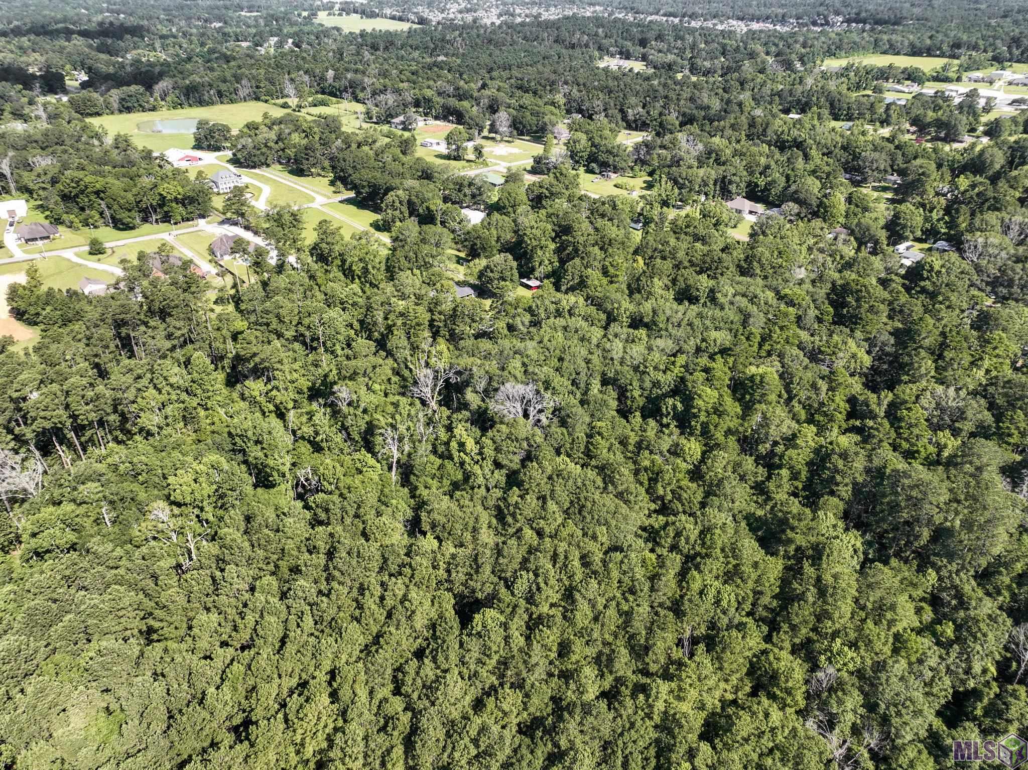 34760 Clinton Allen Road Denham Springs, LA 70706 - Photo 11 of 12