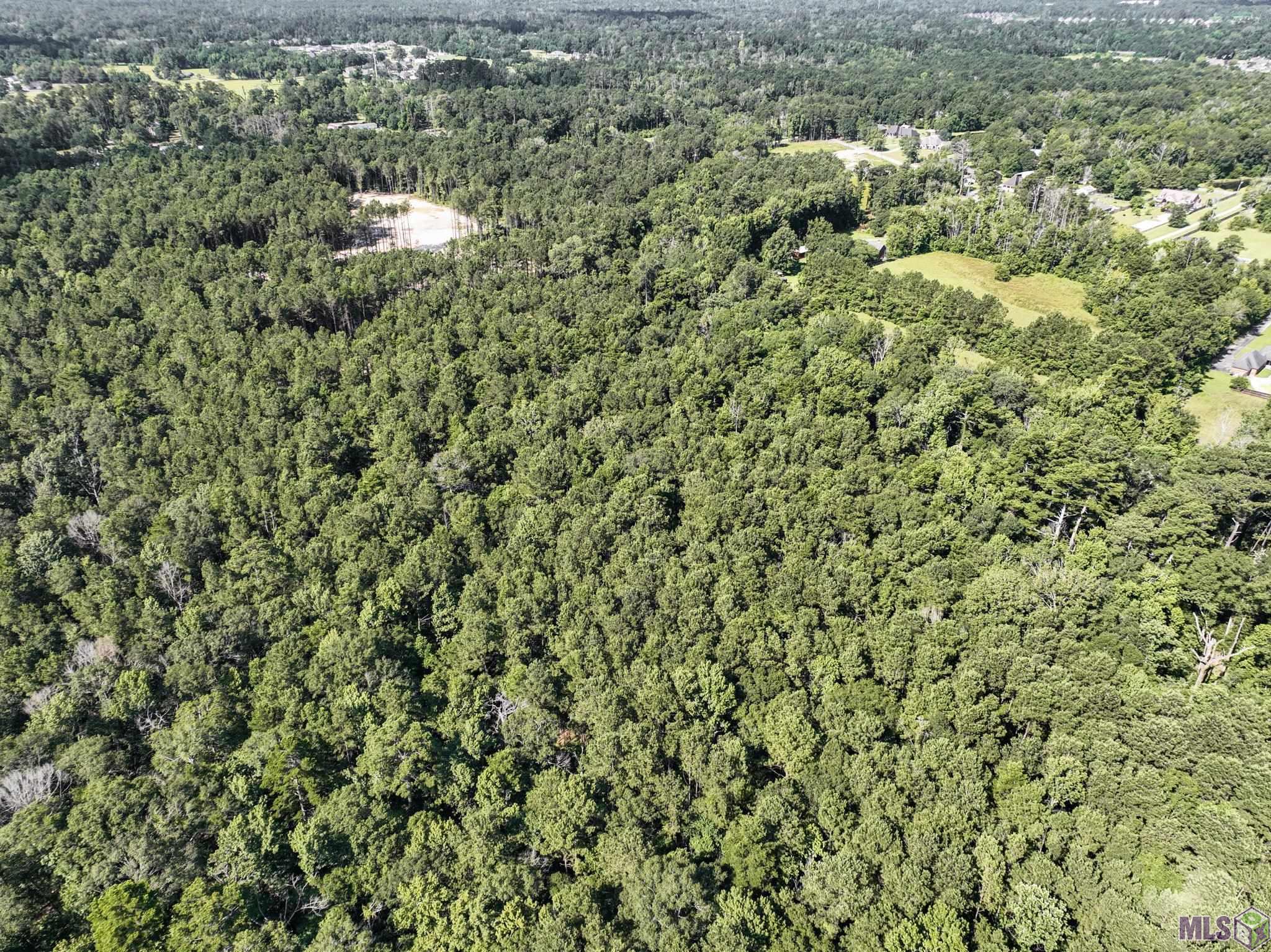 34760 Clinton Allen Road Denham Springs, LA 70706 - Photo 7 of 12