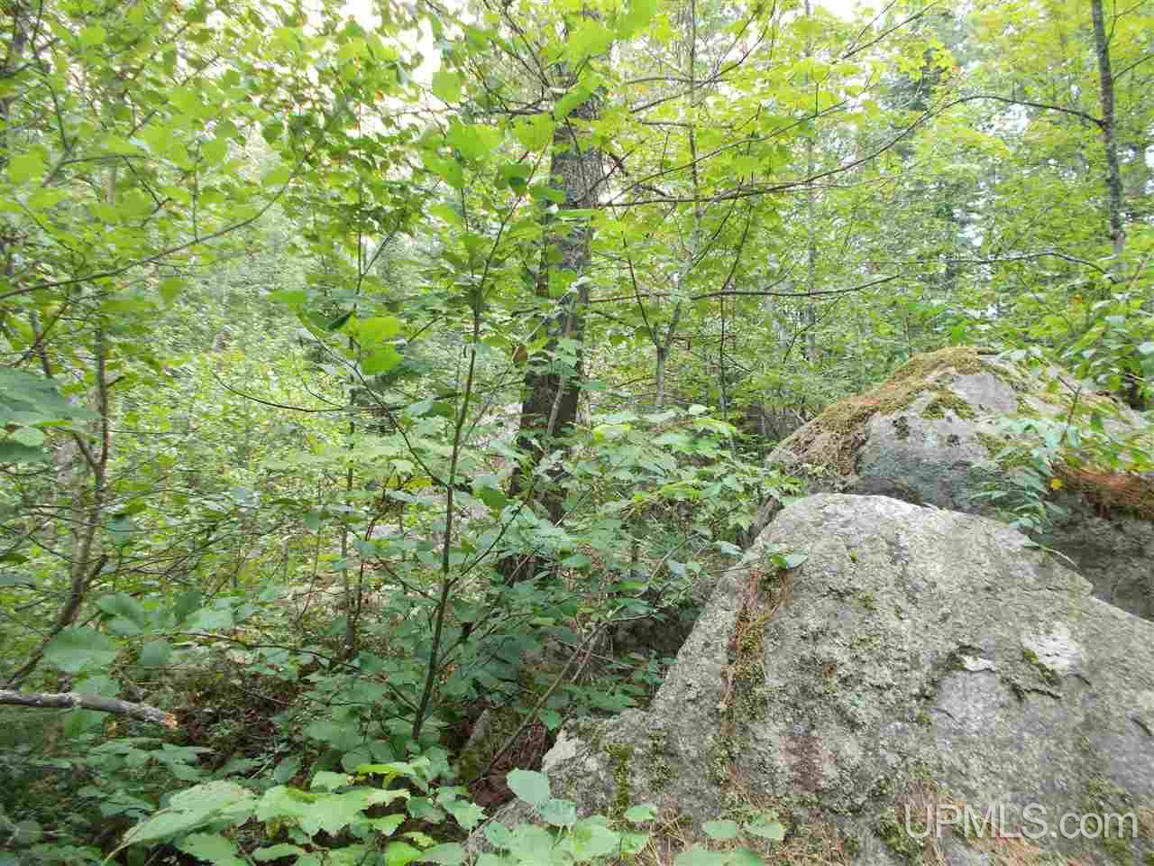 65 Co Road Negaunee, MI 49866 - Photo 28 of 30