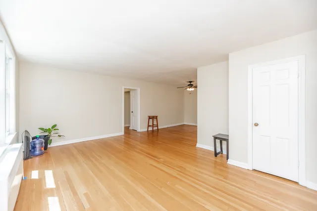 a big room with wooden floor and a potted plant