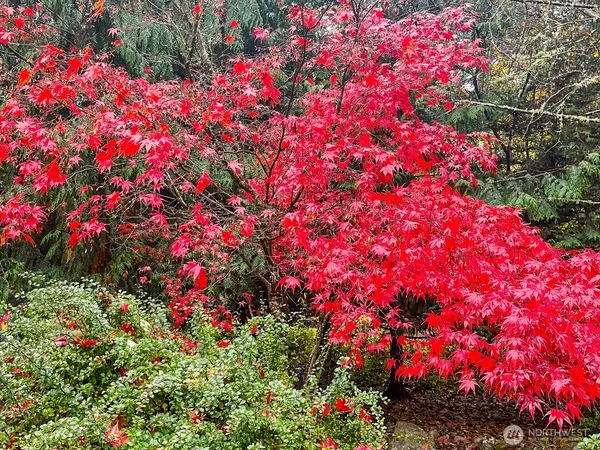 a backyard of a house with lots of green space