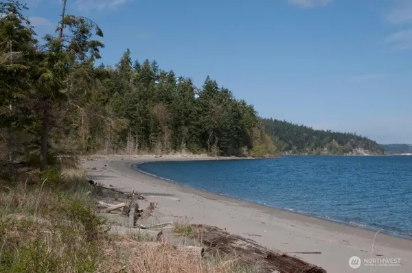 a view of a swimming pool with a yard
