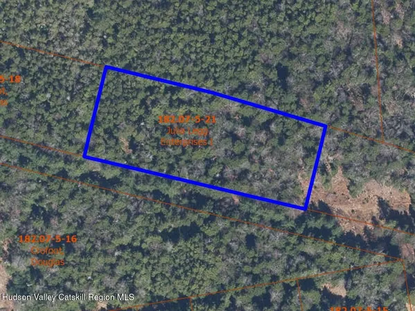 a close up of a tree