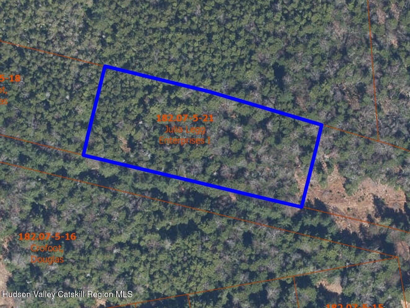 Tbd Stone Street Haines Falls, NY 12436 - Photo 2 of 3 a close up of a tree