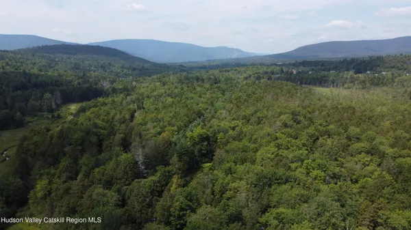 a view of a lush green hillside and a houses