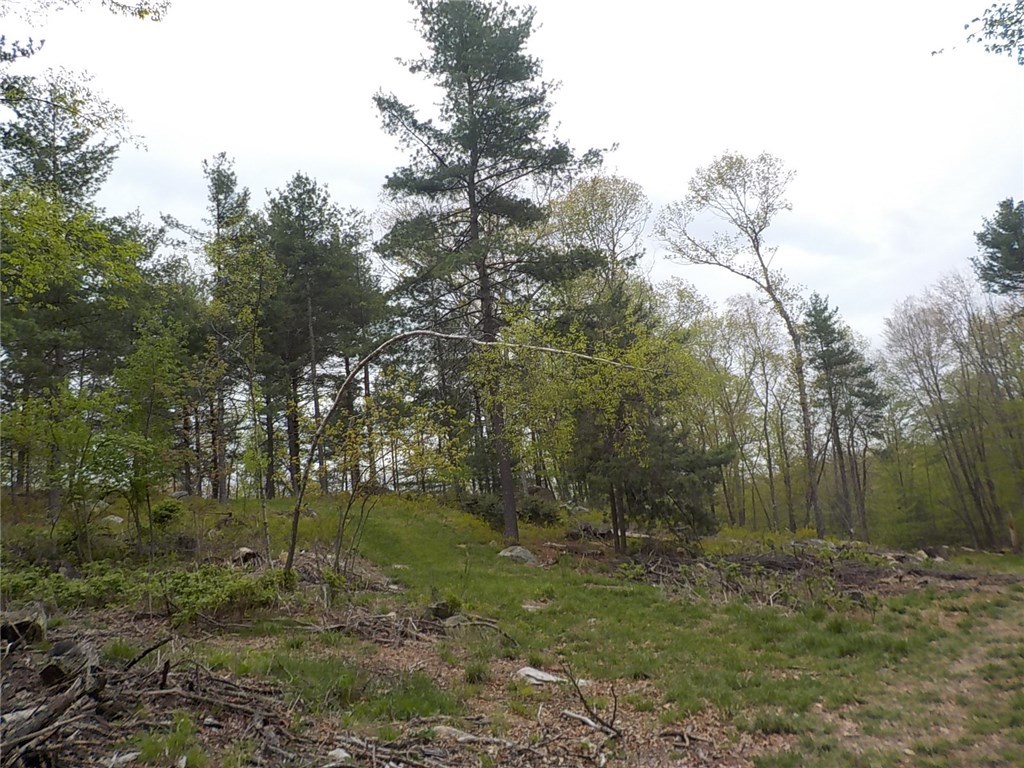 354 Reservoir Road Burrillville, RI 02859 - Photo 6 of 13 Gallery Image 6