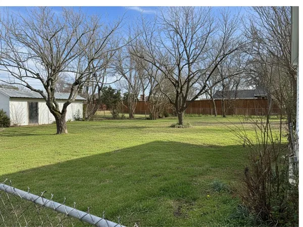 a view of a ground with large trees