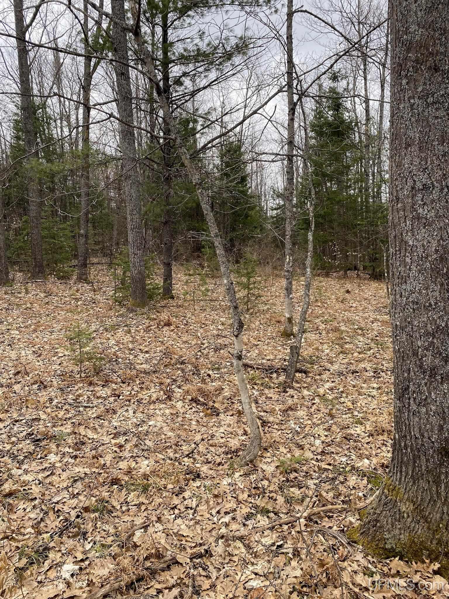 Tbd Tbd County Road Ishpeming, MI 49849 - Photo 23 of 24