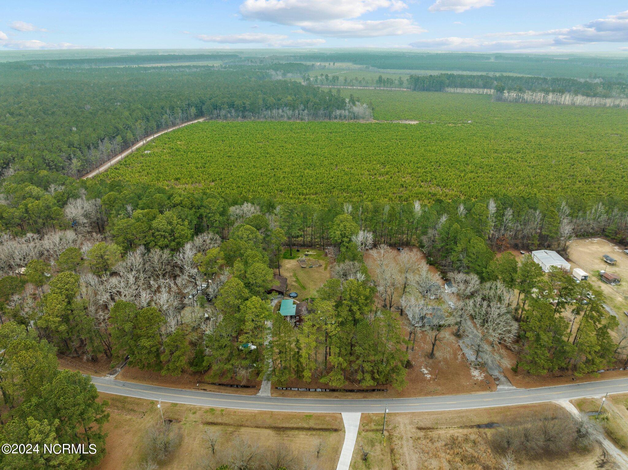 2190 Oakley Road Stokes, NC 27884 - Photo 51 of 55 10-web-or-mls-DJI_0301
