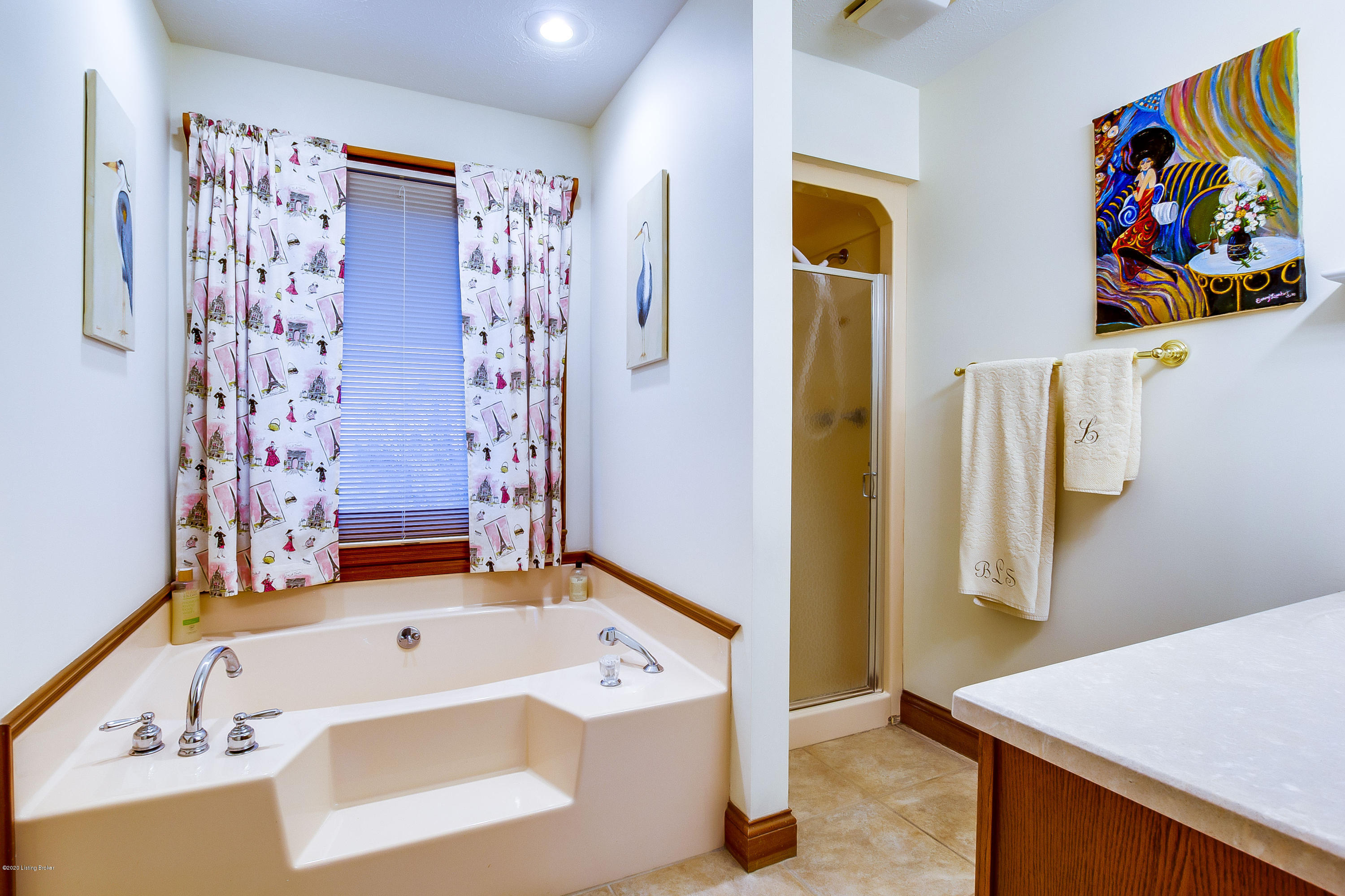785 Mud Splash Road Glendale, KY 42740 - Photo 29 of 54 Master Bathroom