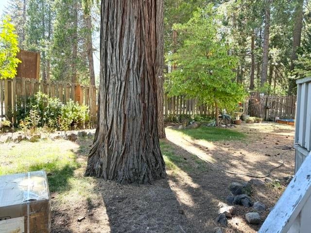2601 North Old Stage Road North, Unit 1 Mount Shasta, CA 96067 - Photo 39 of 50 Gallery Image 39