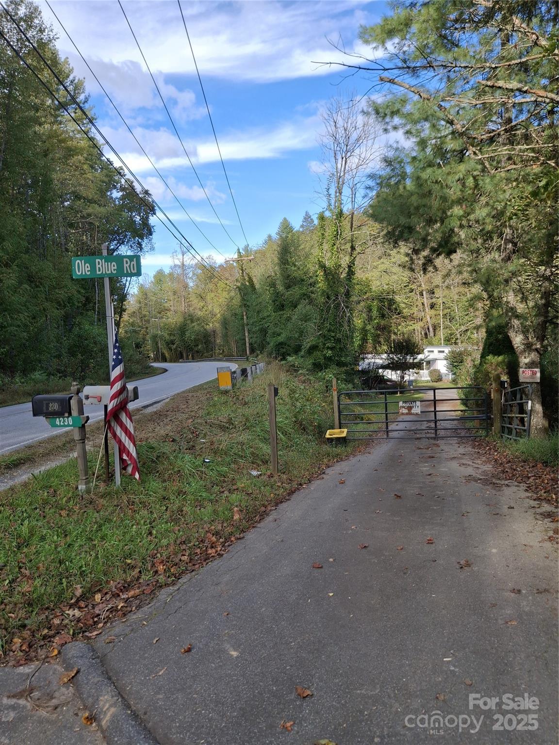 4230 Chimney Rock Road Hendersonville, NC 28792 - Photo 34 of 34