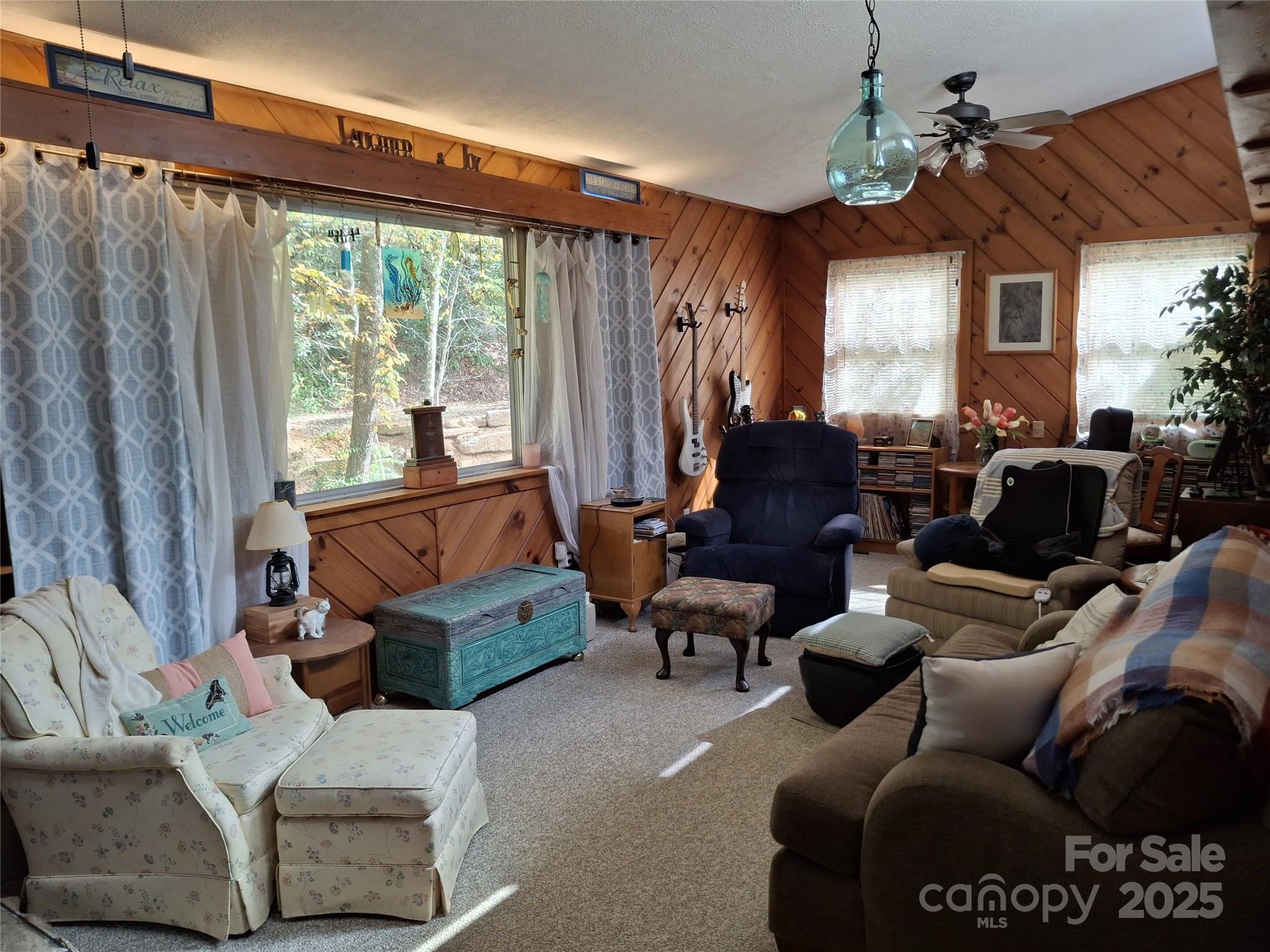 4230 Chimney Rock Road Hendersonville, NC 28792 - Photo 5 of 34