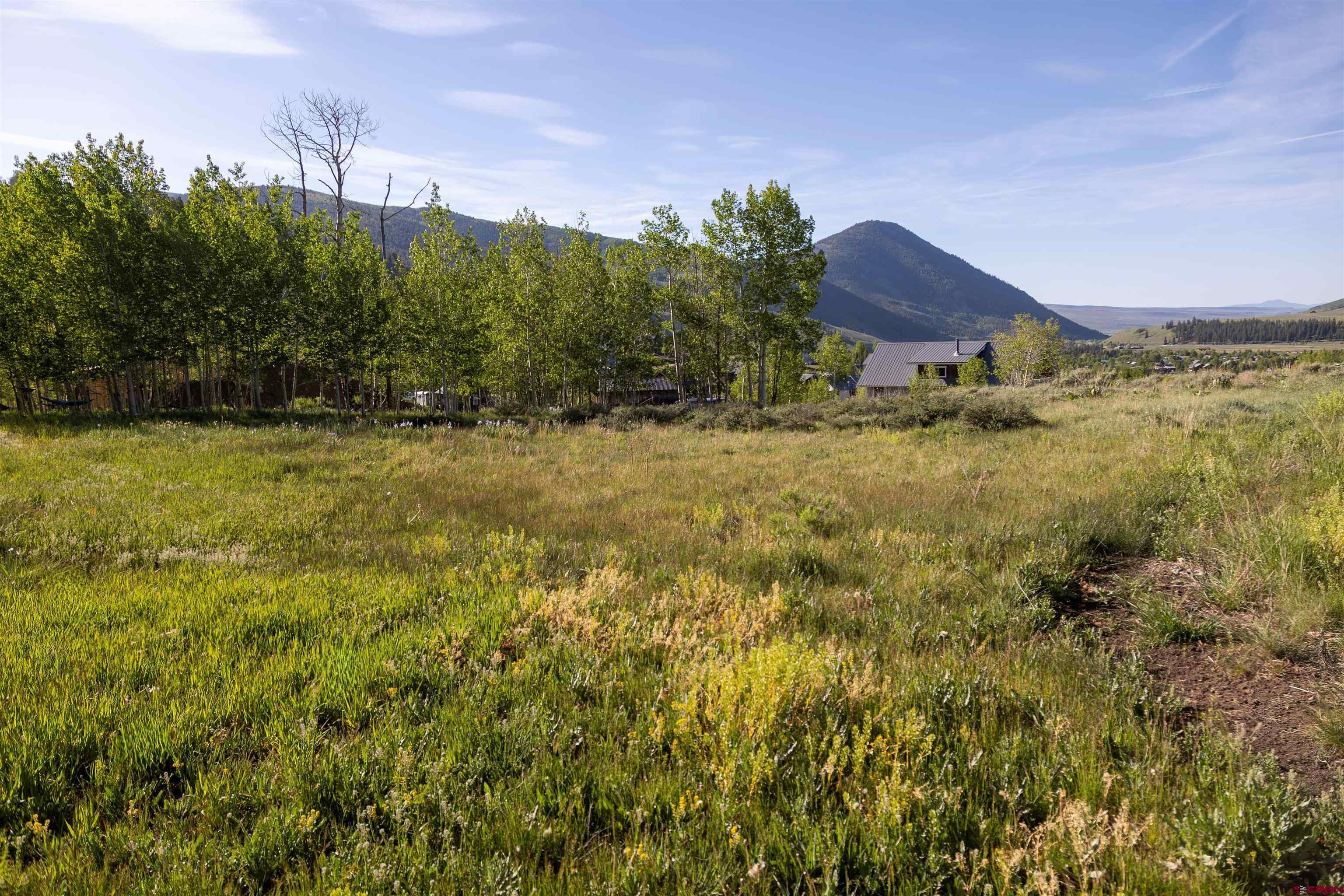 451 Zeligman Street Crested Butte, CO 81224 - Photo 1 of 10 a view of a house with a yard and tree s
