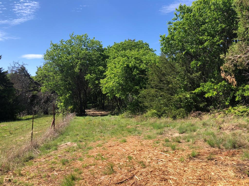 1408 Robyn Road Azle, TX 76020 - Photo 11 of 34 a backyard of a house with lots of green space