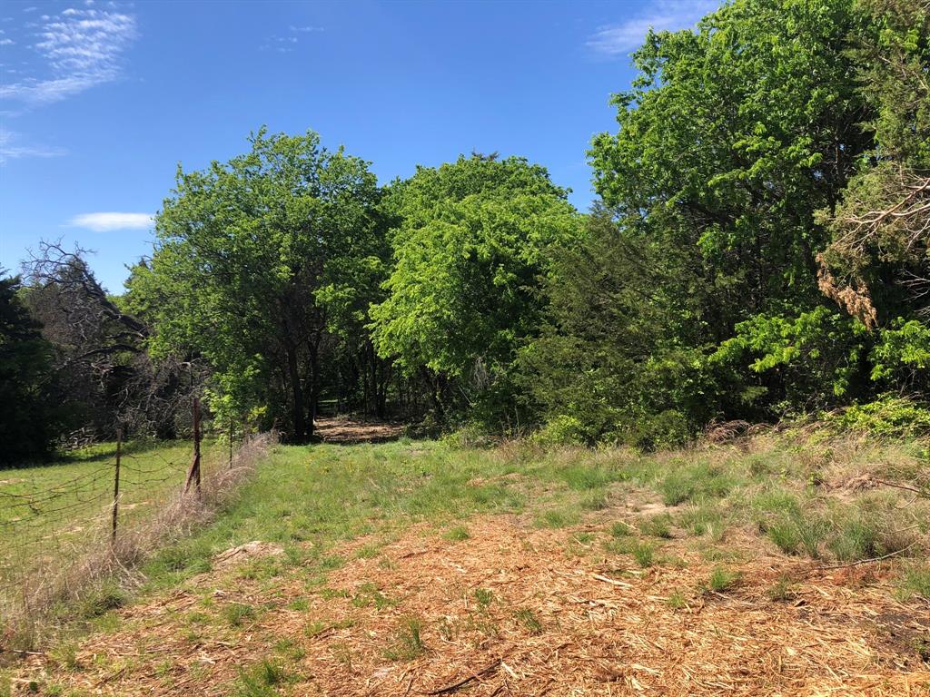 1408 Robyn Road Azle, TX 76020 - Photo 12 of 34 a backyard of a house with lots of green space