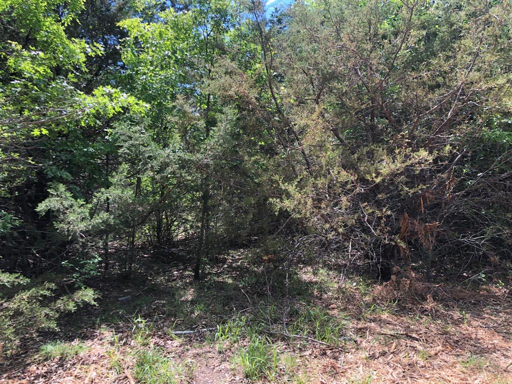 1408 Robyn Road Azle, TX 76020 - Photo 13 of 34 a view of a forest with trees in the background