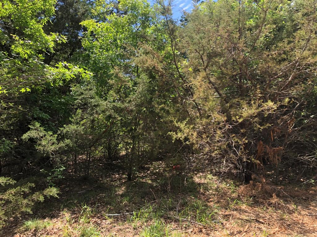 1408 Robyn Road Azle, TX 76020 - Photo 14 of 34 a view of a tree