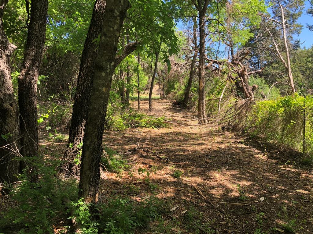 1408 Robyn Road Azle, TX 76020 - Photo 17 of 34 a view of yard with trees