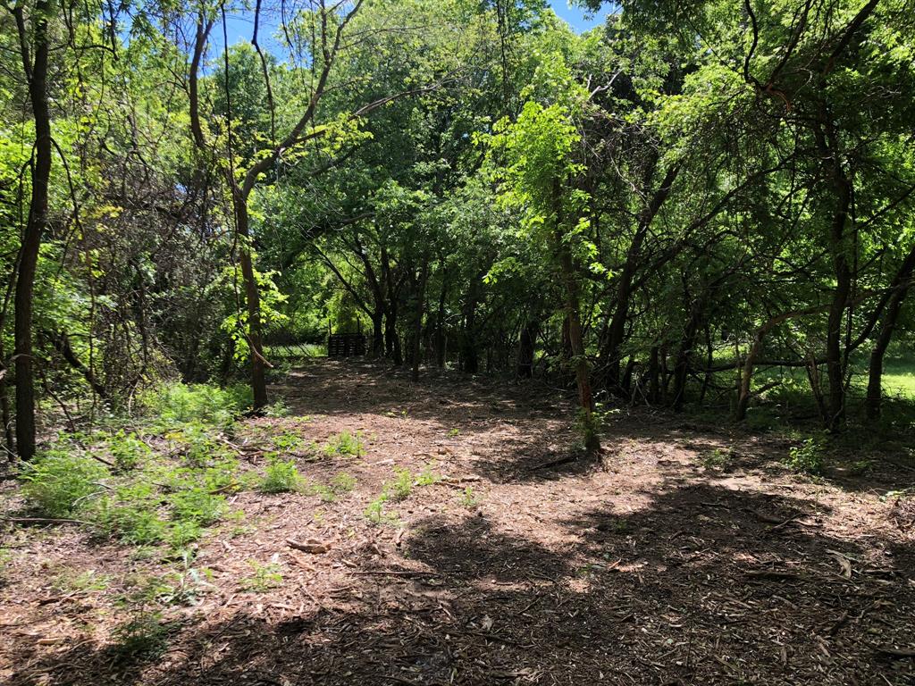 1408 Robyn Road Azle, TX 76020 - Photo 19 of 34 a backyard of a house with lots of green space